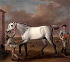 The Duke of Hamilton's Grey Racehorse-Victorious-at Newmarket